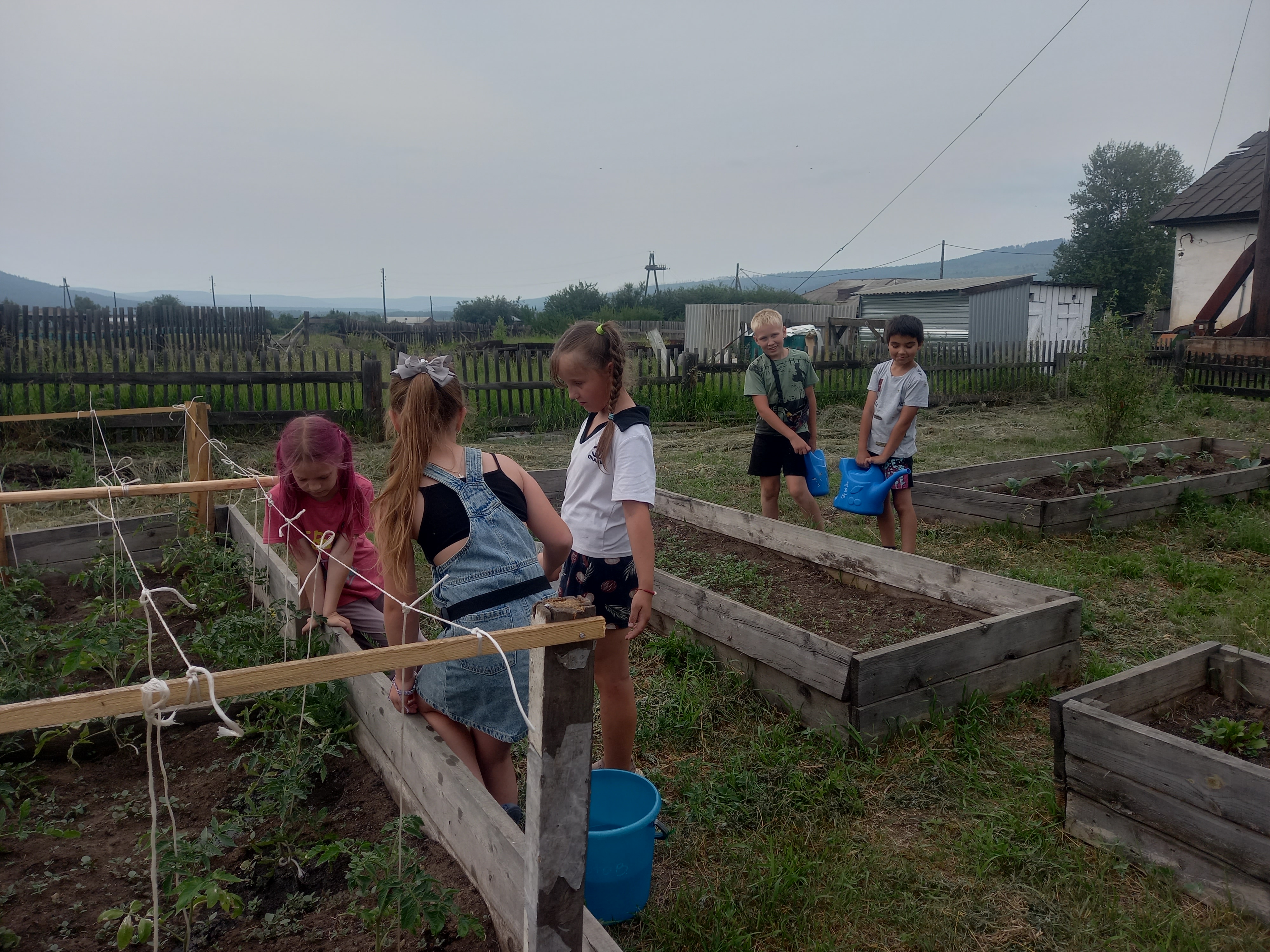 Работа на пришкольном участке.