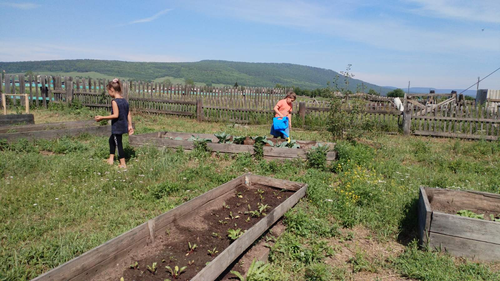 Продолжаем работать на пришкольном участке.