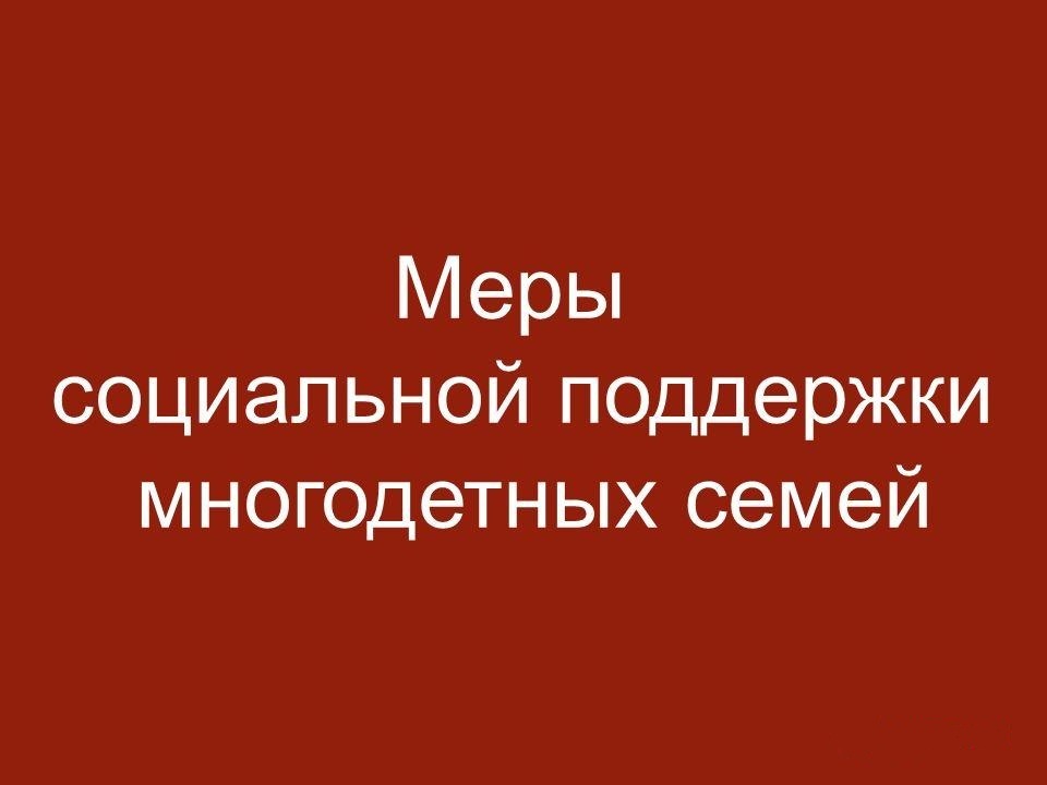 Меры социальной поддержки многодетной семьи.